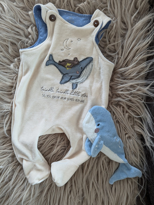 Babystrampler zur Geburt